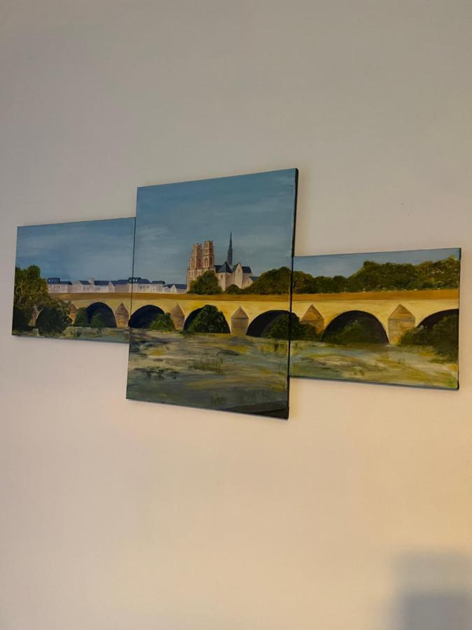 Cosy Loire, T2 Neuf, Front De Loire ,Vue Cathedrale,5Min A Pied Centre Ville Et Parking Prive Orléans Exterior photo